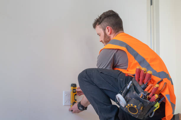 Best Electrical Repair Services  in Renville, MN