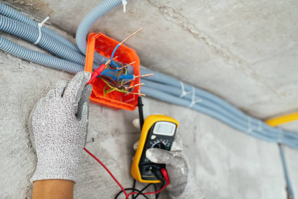 Best Ceiling Fan Installation Electrician  in Renville, MN